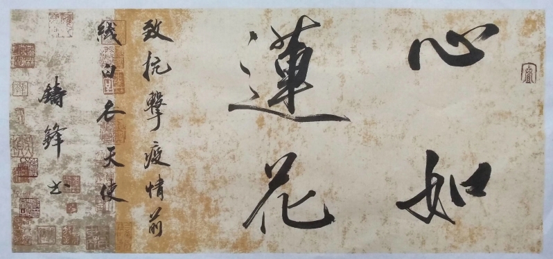 心如蓮花.jpg